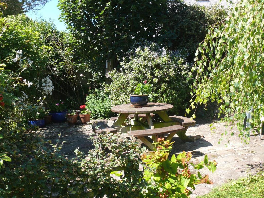 Cormorant House Bed & Breakfast New Quay Екстериор снимка