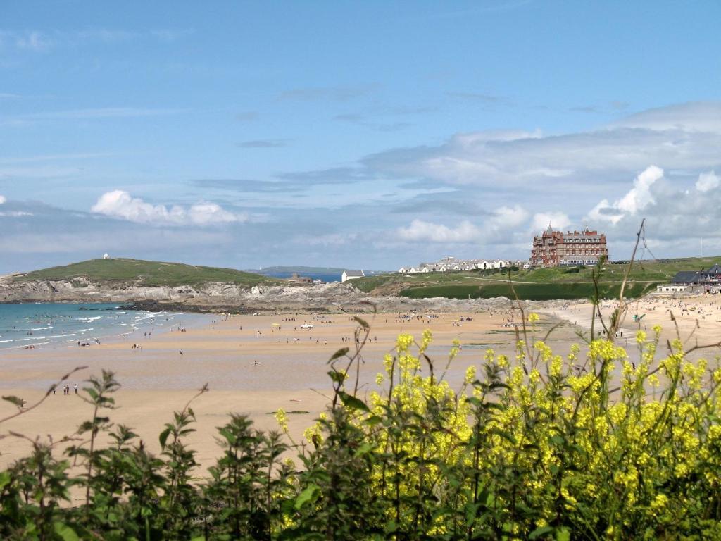 Cormorant House Bed & Breakfast New Quay Екстериор снимка