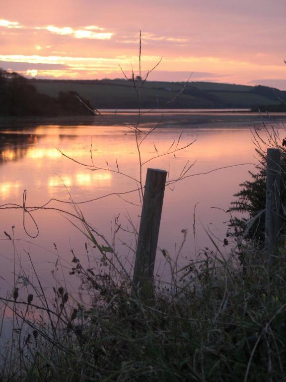 Cormorant House Bed & Breakfast New Quay Екстериор снимка